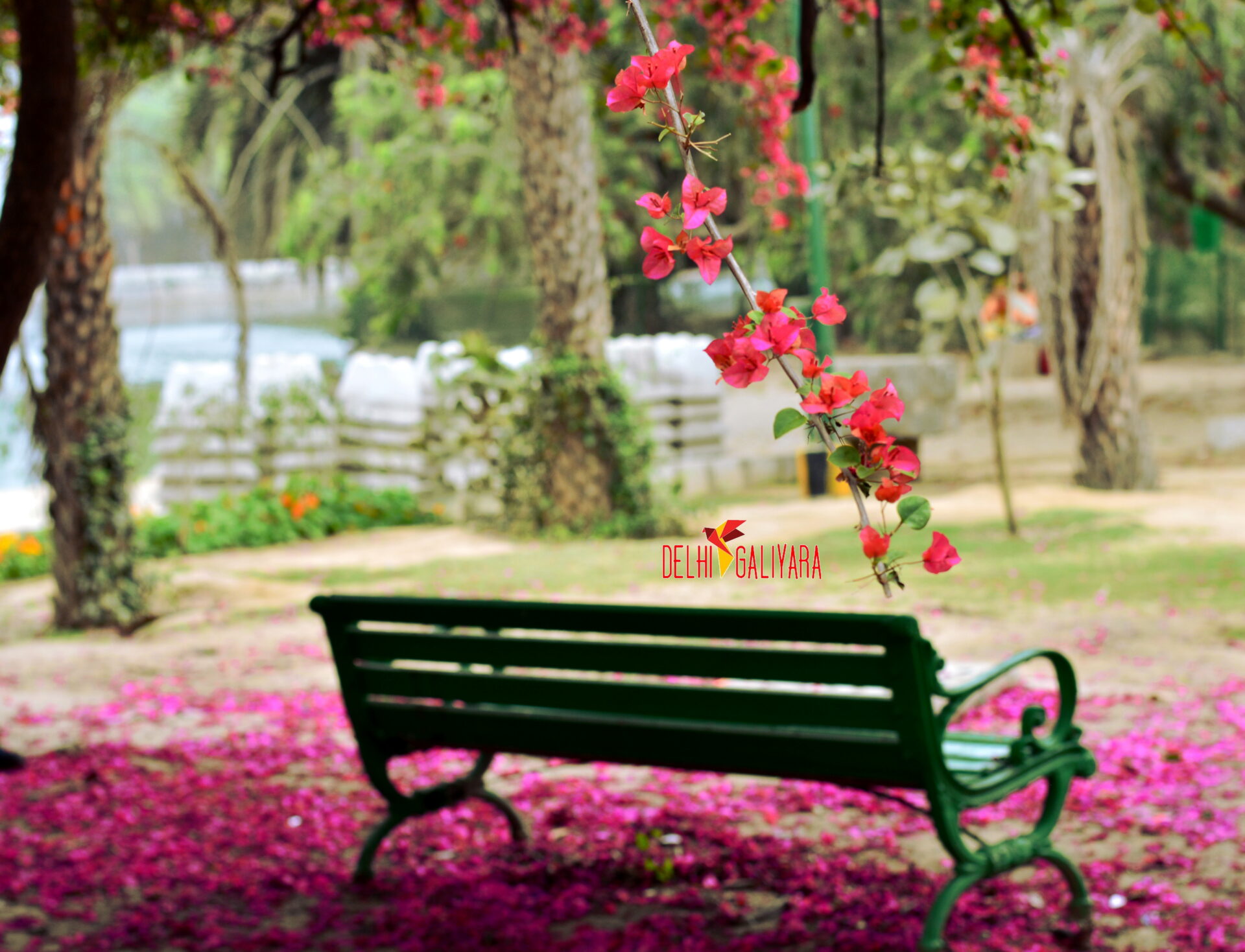 Photo archive of delhi from the perspective of a Flâneuse